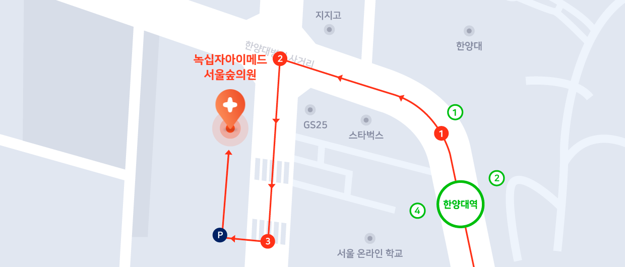 서울 성동구 왕십리로 241 GF층 녹십자아이메드 서울숲의원 지도