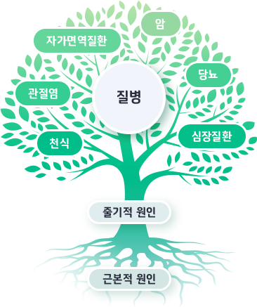 질병-암,당뇨,심장질환,천식,관절염,자가면역질환//줄기적 원인, 근본적원인 관련 이미지