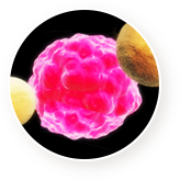 암세포로 몰려드는 면역세포 이미지